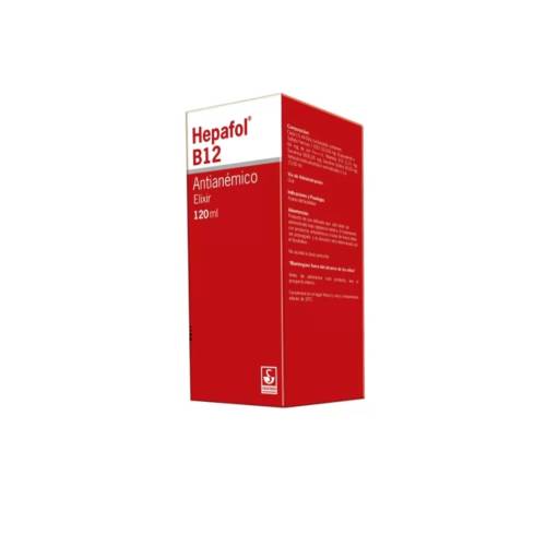 HEPAFOL JARABE 120ML MEYER