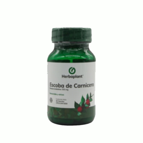 ESCOBA DE CARNICERO X 30 CAP HERBAPLANT