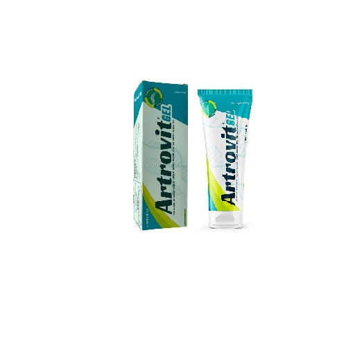 ARTROVIT GEL 120GR
